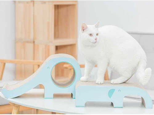 cat-015小象